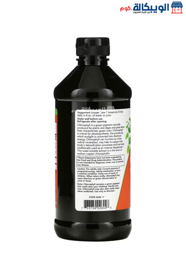 Now Foods Chlorophyll Liquid Natural Mint Supplement To Support Body Health 16 Fl Oz (473 Ml)