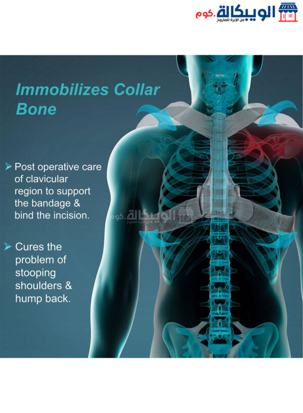 Clavicle Brace